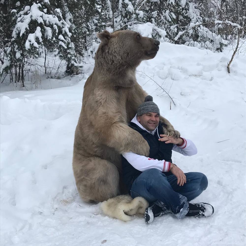 骑老虎遛弯,和熊打架?这个俄罗斯男人比贝爷还