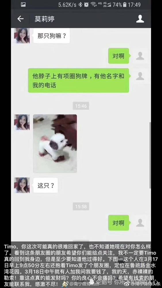 南宁版同款何兴丽,捡狗敲诈失主,嚣张称不怕人