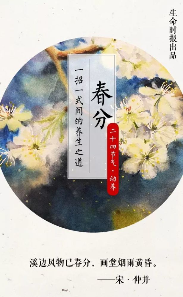 春分养生小知识(春分养生的重要性)-第1张图片-鲸幼网