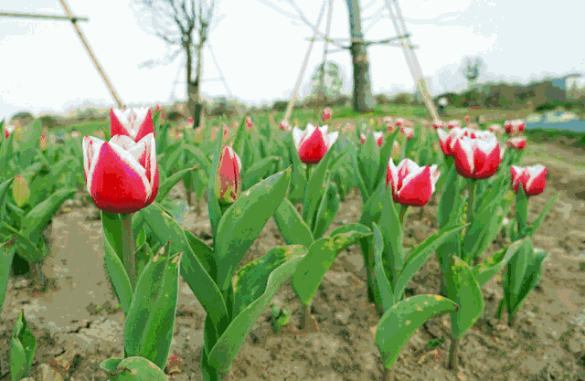 杭长(g14)高速径山段,径山出口下,进入径山立