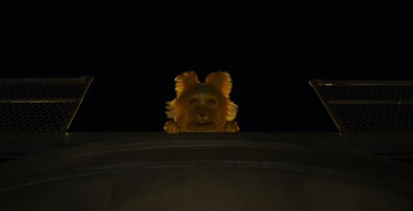 声线迷人 《犬之岛》公开寡姐配音片段 