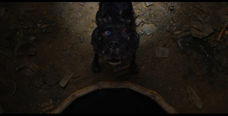 声线迷人 《犬之岛》公开寡姐配音片段 