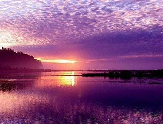 家底丰厚 财不外露 12大生肖中谁才是真正的富