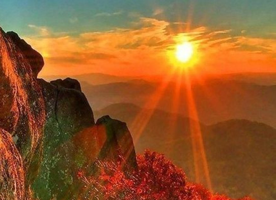 家底丰厚 财不外露 12大生肖中谁才是真正的富