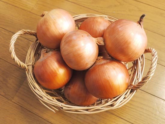 洋葱之歌的故事,拿破仑时代的法国著名军歌