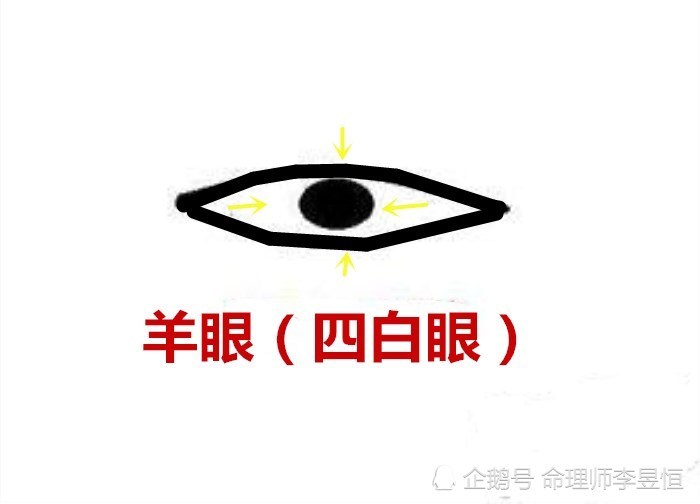 面相秘诀:羊眼之人不可交,笑里藏刀心阴毒!