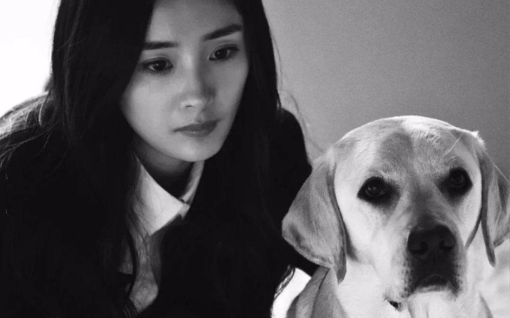 "杨幂诈捐"事件中间人回应:吃了不该吃的亏!