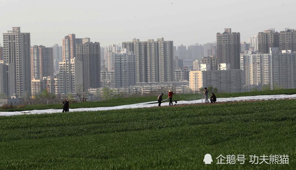 最后一页 在西安市东南方向的神禾原瓜洲村,今年已经48岁的郑师傅带