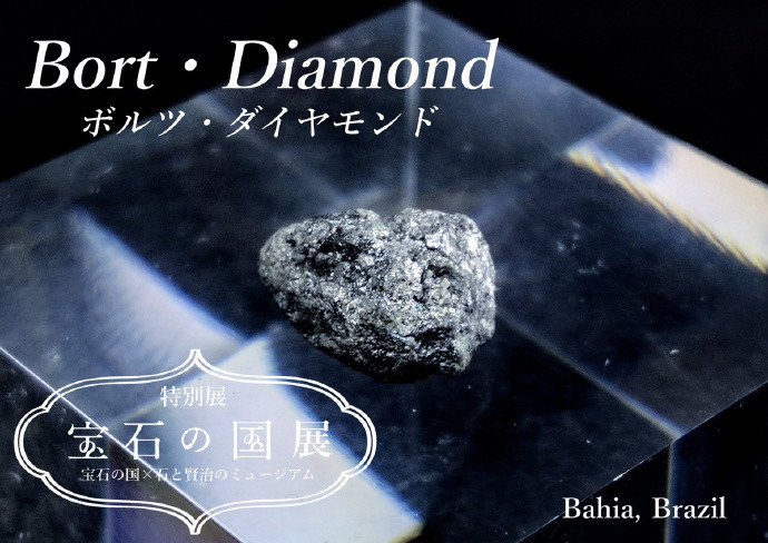 科普知识 《宝石之国》将与博物馆展开联动 