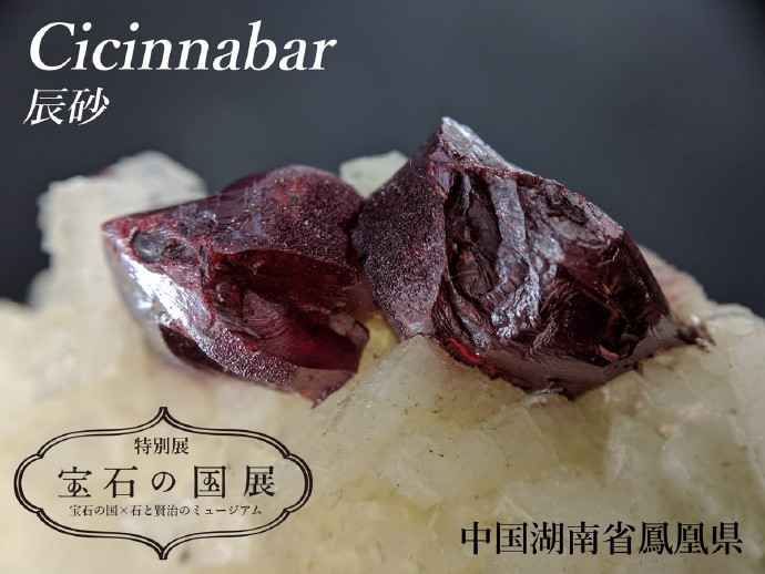 科普知识 《宝石之国》将与博物馆展开联动 