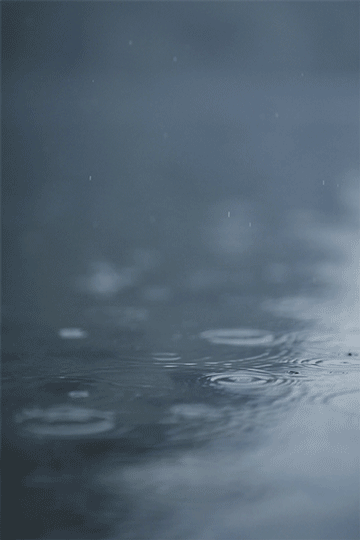 "的清爽有陆游笔下夏雨下雨的天气最开心的莫过于对于彭彭来说