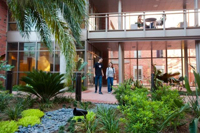 从杜兰大学看美国高校安全和种族问题