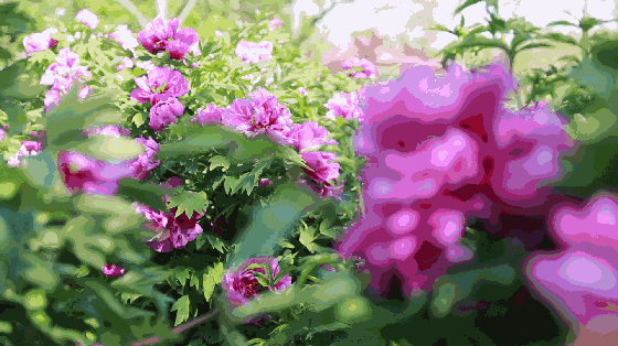 560_314gif 动态图 动图