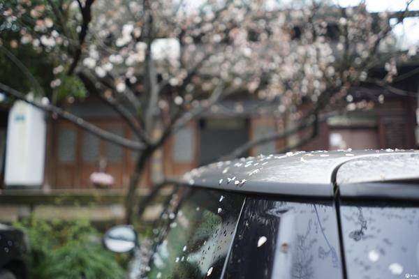 真的只是基准吗?索尼A7M3使用三周体验报告