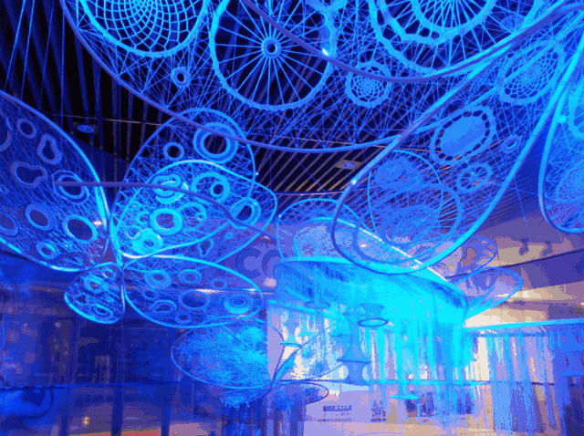 640_478gif 动态图 动图