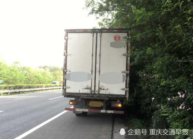 男子高速上突然"内急" 蹲在路边大便