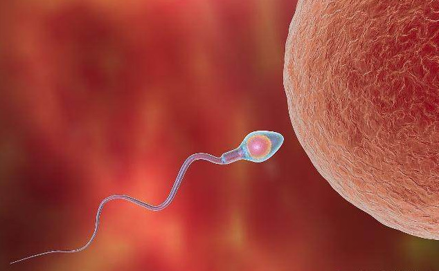 受精卵成功着床后,身体会出现这4种感觉!