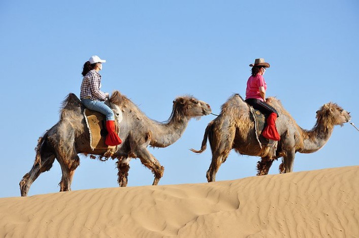 八达岭野生动物园内老人骑骆驼被摔翻律师园区负全责