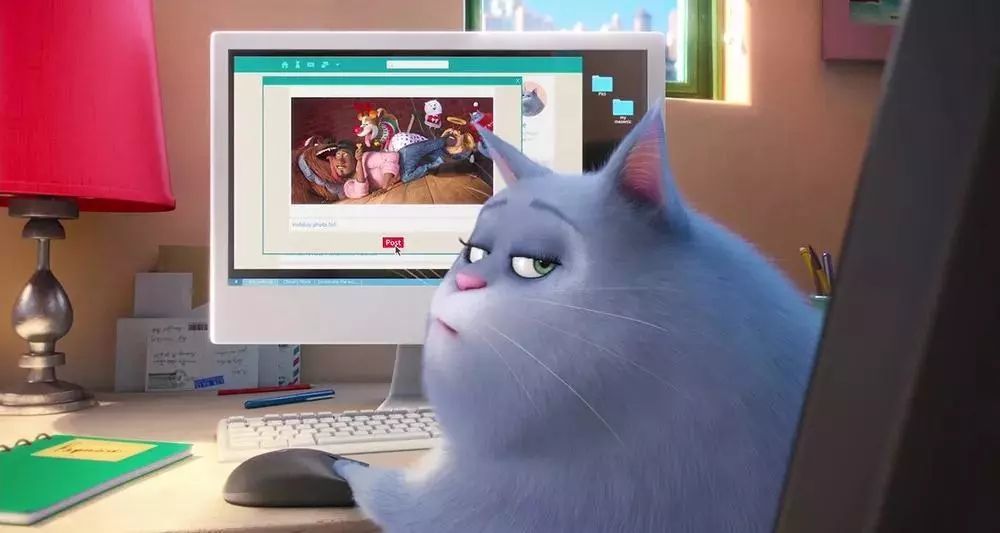 注意!撩猫逗狗将成为主流影视题材