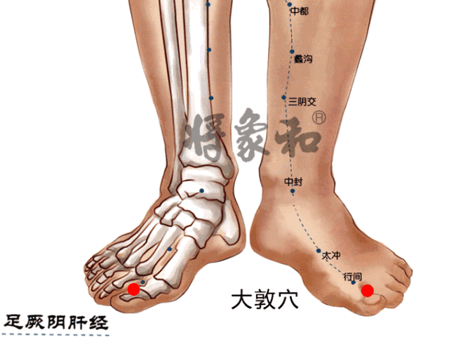 大都的准确位置图 腾讯网