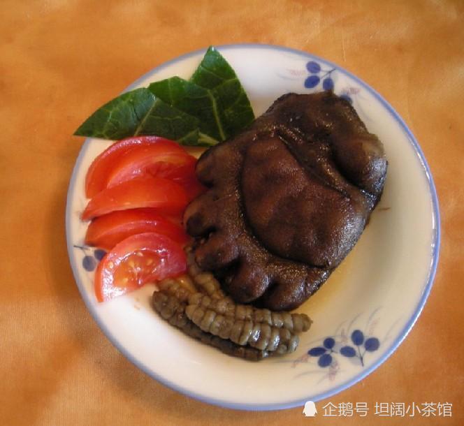 长江江豚被确立为独立物种,保护野生动物,别再吃这8种野味了!