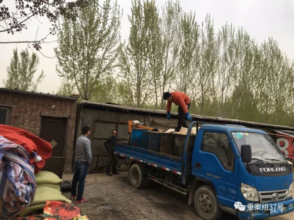 泔水猪如何养成的?记者暗访:餐馆泔水深夜直