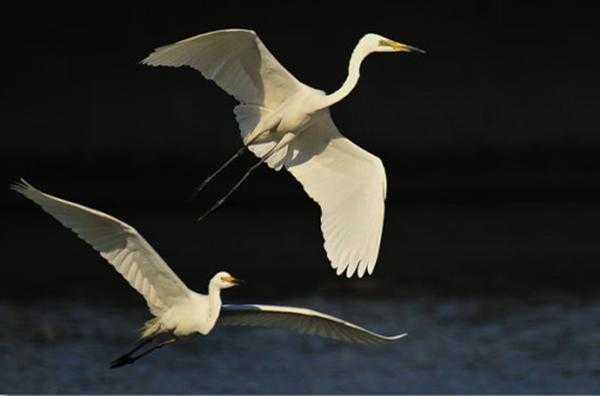 范成大的这一首词,描写悠闲的隐居生活,抒发潇