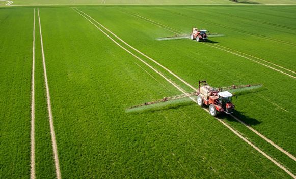 我市积极开展耕地轮作休耕试点