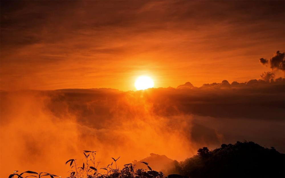 扬子江头杨柳春,杨花愁杀渡江人