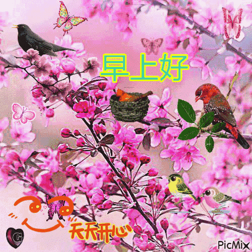 微信鲜花早上好图片大全朋友圈早安图片表情大全