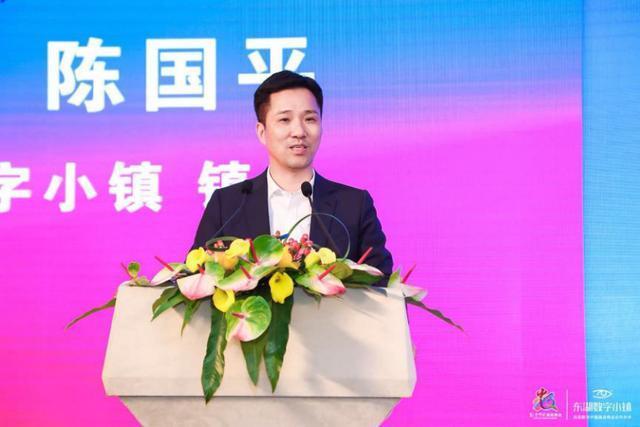 陈国平镇长亲述东湖数字小镇的历程与梦想