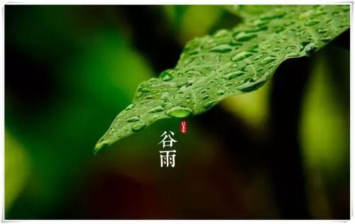 2018年4月20日 (農曆三月初五) 穀雨 穀雨是二十四節氣的第六個節氣