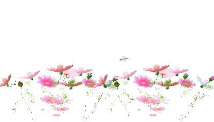 420_240gif 动态图 动图