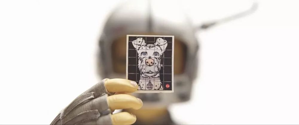 被吹上了天的《犬之岛》,我有一点不同意见想