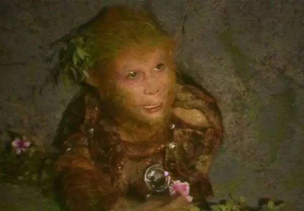 孙悟空三兄弟,他们的法号是谁起的?不是唐僧