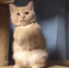 肥胖|扎心了！“瘦”与“长寿”密切相关，这个国家的经验值得借鉴