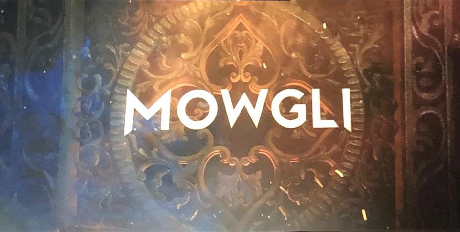 《变形金刚外传》《终结者6》《驯龙记3》一