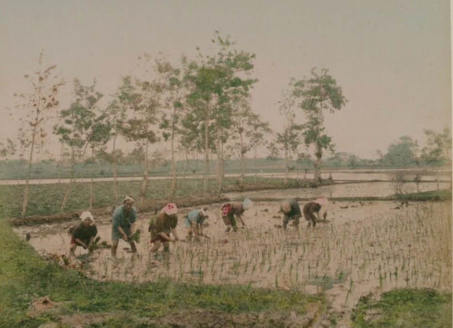日本姓氏史:哪里生的就用地名为姓?关于田边、