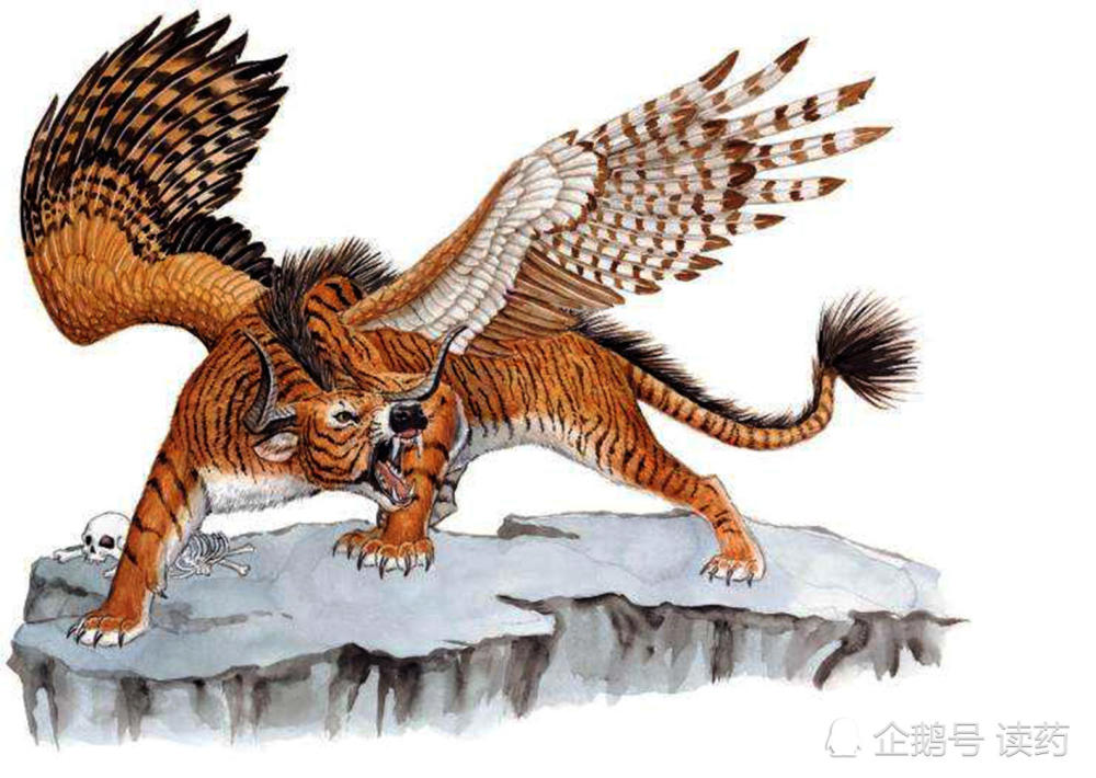 《山海经》四大凶兽穷奇竟是瑞兽?为何两种