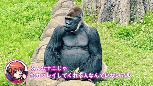 《银魂》与《怪物弹珠》合作新广告 为土方献上蛋黄酱