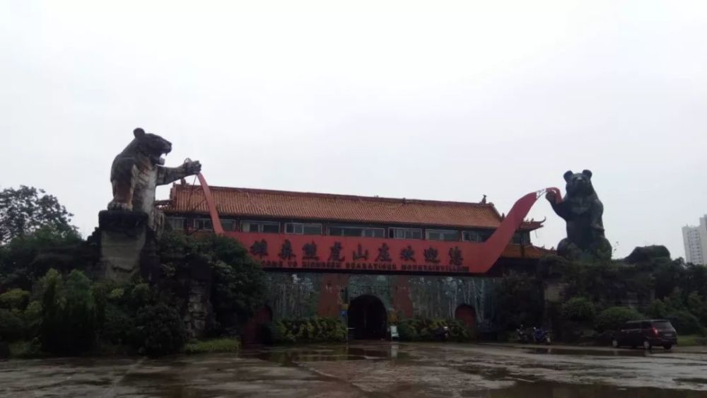 桂林发生老虎伤人事件,熊虎山庄被曝非法卖虎骨酒