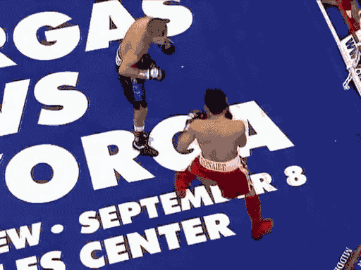 512_384gif 动态图 动图