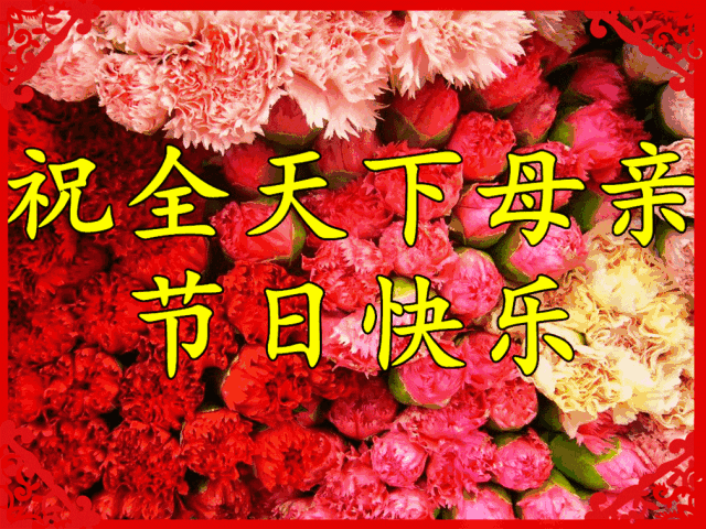 最美的玫瑰送给天下母亲节日快乐