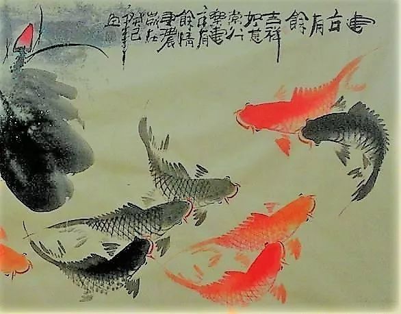 那些游弋在古诗词里的鱼 你都认识吗 腾讯网