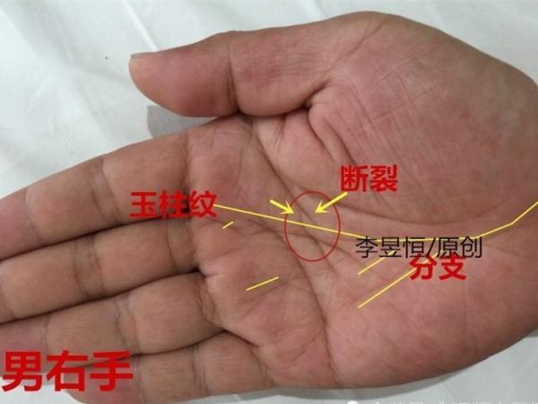 手相出现双龙纹一生福禄衣食无忧