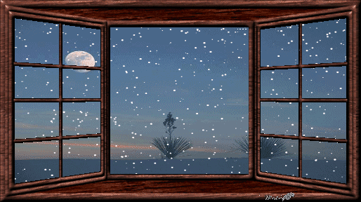 514_288gif 动态图 动图