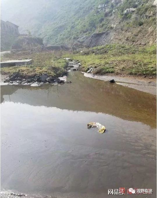 团河津薛虎沟煤业污水外排环保局横刀立马保密