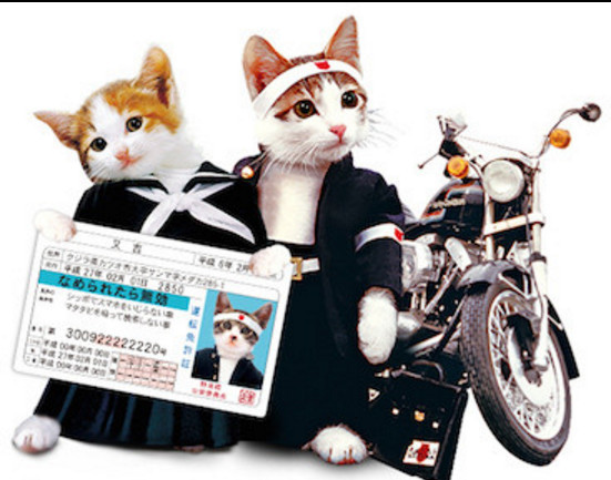 昭和时代令人怀念的吉祥物 暴走猫排第一