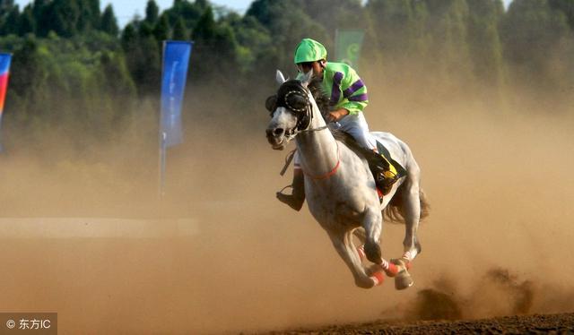 罗牛山进军赛马股价创历史新高 记者走访赛马
