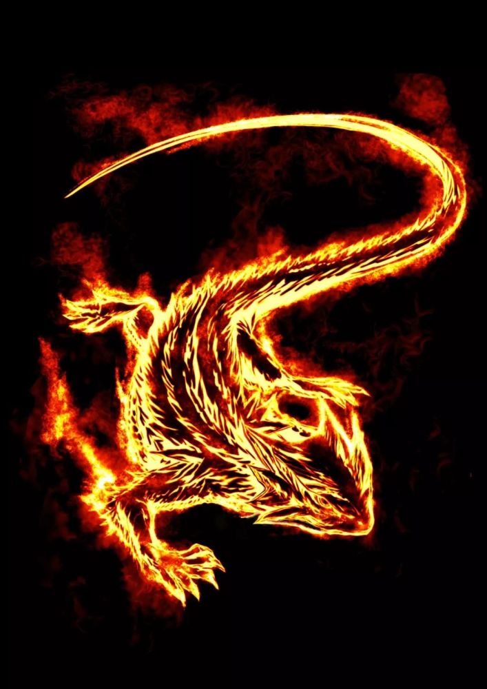 美国选举制度的弊端:党派操控选区划分案,最高